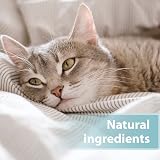 Felisept Skin Care Spray for Cats 250ml Mite Treatment Itch Relief view 5