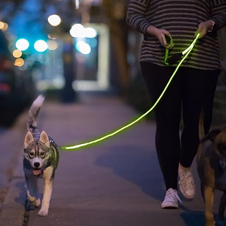 glow leash for dogs