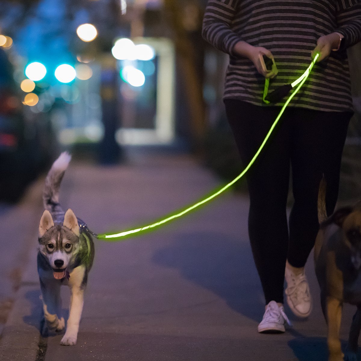 NiteyLeash - LED Lighted Pet Dog Leash (Green)