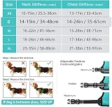 HEELE Dog Harness Small No Pull Reflective Turquoise adjustable S view 3
