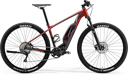 merida ebig nine 600