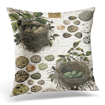 Floral Eggs Modern Vintage French Bird Dragonfly Decorative Pillow