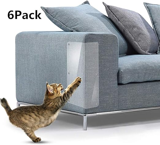 appalachian springer spaniels