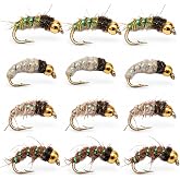 Caddis Larvae 12 Pack &ndash; Hand Tied Nymph Flies for Trout Fly Fishing &ndash; Realistic Caddis Larva Pattern for Rivers, Creeks &amp; Streams &ndash; Premium Subsurface Trout Fly Set