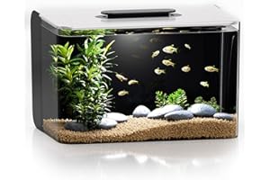 RED TAIL FISH Betta Fish Tank, 2.5 Gallon Aquarium Kit with Filter, Light, Self Cleaning, Oxygenation, Small All in One Starter Fish Tank for Goldfish, Guppy, Shrimp, Desktop, Acrylic