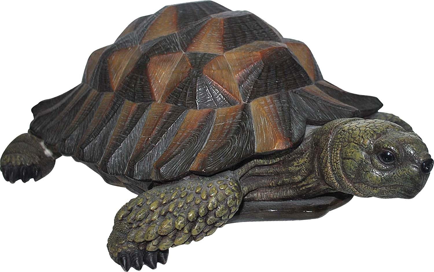 Nature Friends Size B Tortoise