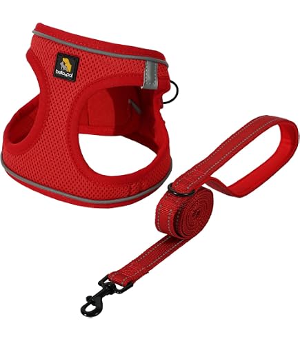 RC Pets Step-In Cirque Soft Dog Harness For Small Dogs - No Overhead Hassle, X-Small In Tennis Color