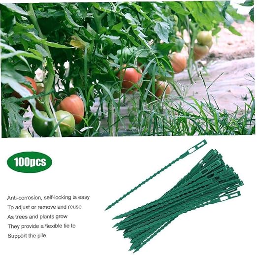 Angoter 100pcs Verde jardinería Parra Plantas Atadura de Cables ...