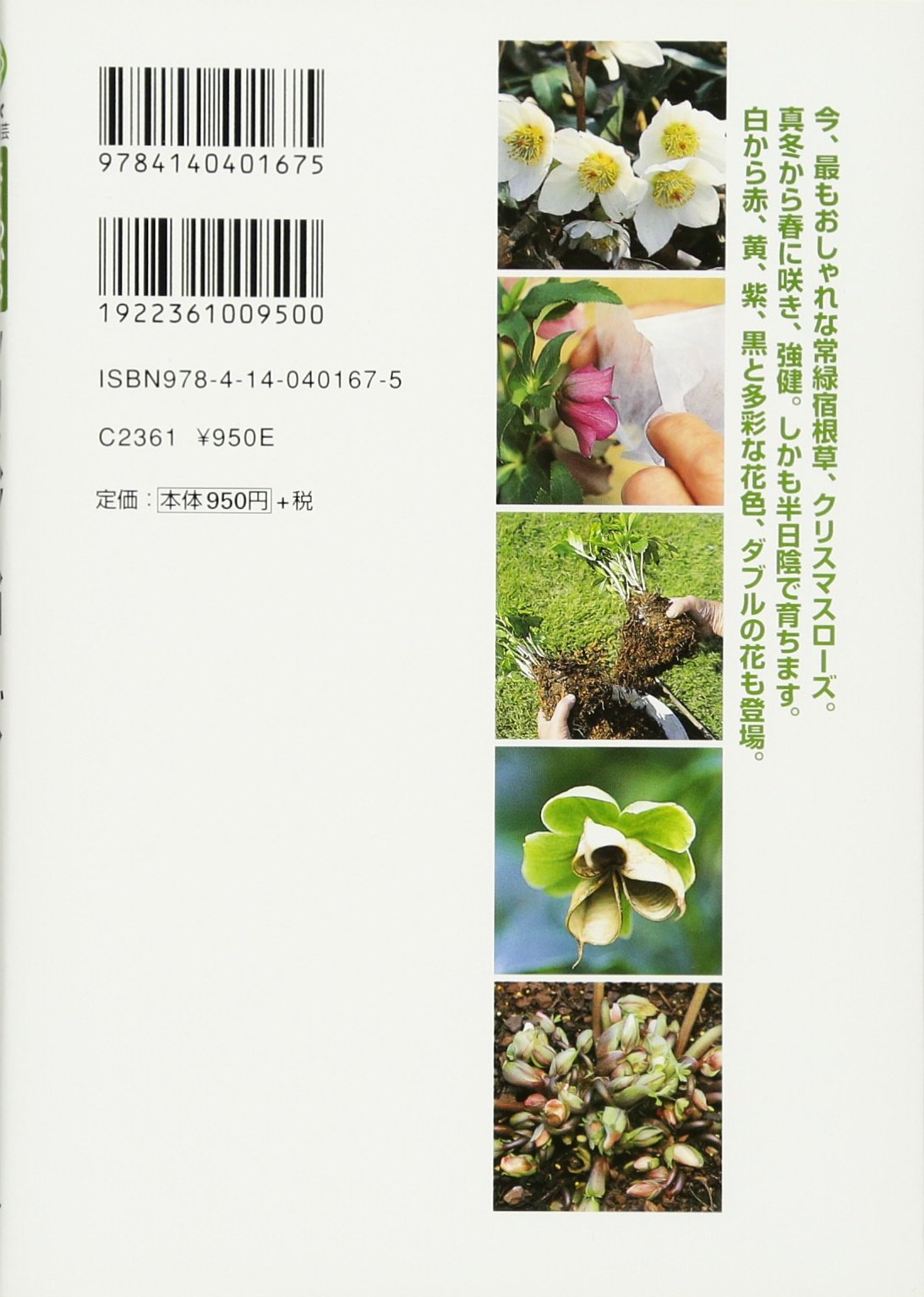 12 Months Cultivation Can Be Seen Well Gardening Hobby Nhk Christmas Rose 00 Isbn Japanese Import Amazon Com Books