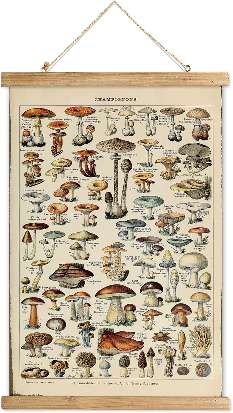 Wall Décor - XIAOAIKA Vintage Mushroom Poster Hanger Frame, Retro Style Wall Decor Art Painting, Patterns are Printed on Linen Without Fading, Scrolls Made of Fir are Durable (16 x 23 inch)