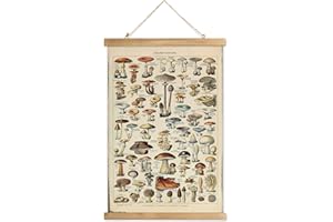 XIAOAIKA Vintage Mushroom Poster with Wooden Scroll Frame - Classic Botanical Print with Variety of Fungi Species - Retro Style Wall Art Decor for Kitchen, Living Room, Classroom 16 x 23 Inches