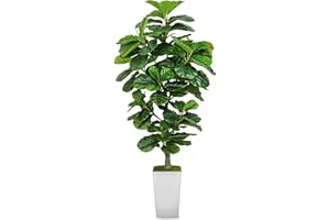 Xunsiga 6FT Artificial Fiddle Leaf Fig Tree, Fake Tree Greenery Plant with Taper Planter, Artificial Plants Faux Tree for Dec