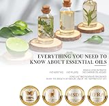 MAYJAM Jasmine Essential Oil 10ML Pure Undiluted with Glass Dropper view 7