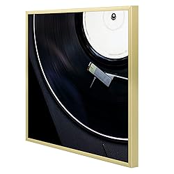 Golden State Art, Aluminum Album Frames Display