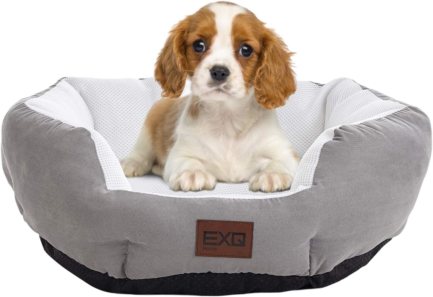 pets at home cat beds