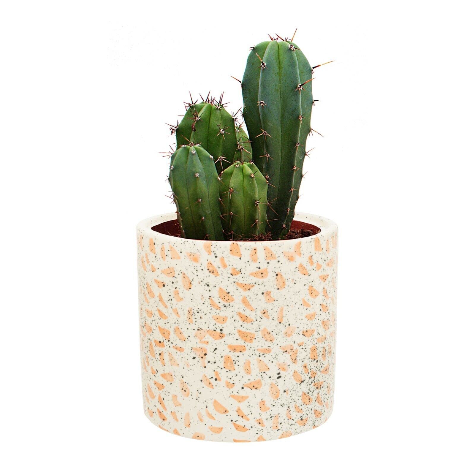 Kusso White Ceramic Plant Pot (12.7cm Tall, 10cm Opening) - Terrazzo Style Planting Pot with Orange and Black Speckled Detail, Perfect for Flowers, Cactus, Succulents, Spider Plant & More