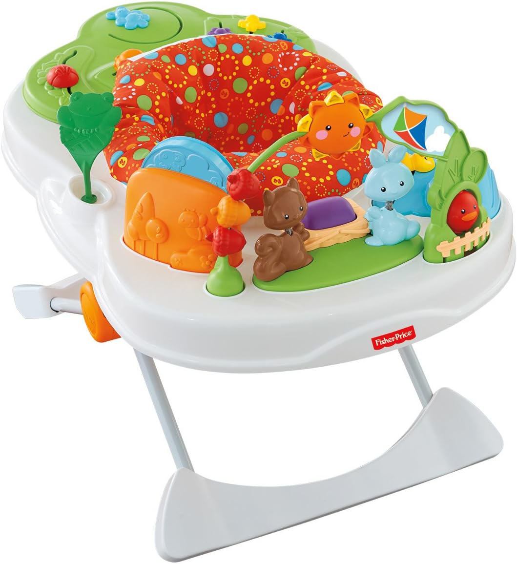 Fisher-Price Snack 'N Play: Amazon.co 