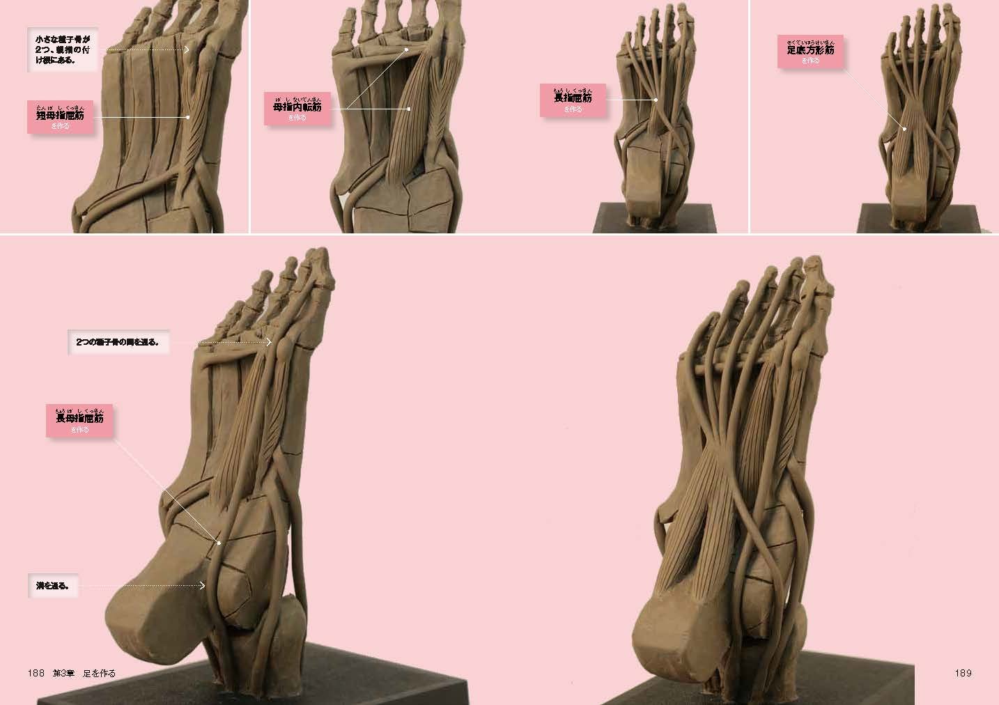 立体像で理解する美術解剖 阿久津 裕彦 小野 結貴花 造形 本 通販 Amazon