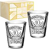 Onebttl Anniversary Cups for Couples, 10 Years Anniversary Funny Gifts for Boyfriend Girlfriend, 1.5 oz (45 ml) Shot Glasses Set of 2 - Annoying Each Other But Still Strong, Transparent