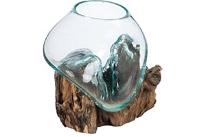 Cape Craftsmen 7" H Hand-Blown Blue Tinted Bubble Glass On Natural Teak Driftwood Terrarium | Home Décor Indoor Planter with Stand | Pot for Succulent and Plants