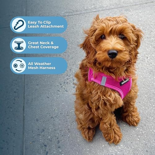 Best Pet Supplies Voyager Step-In Air Mesh Dog Harness - No Pull, Reflective, Hook & Loop (L, Lime)