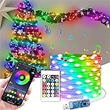 Sxlofty Smart Fairy String Light,32.8FT 100 LEDs