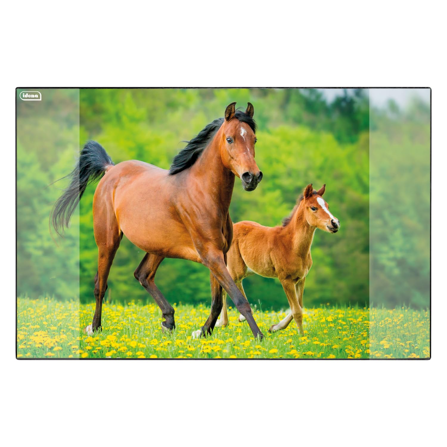 Idena 10454 Desk Mat with Two Pockets Horse Approx. 58.5 x 38.5 cm Practical Accessories for Children's Teenagers and Studies