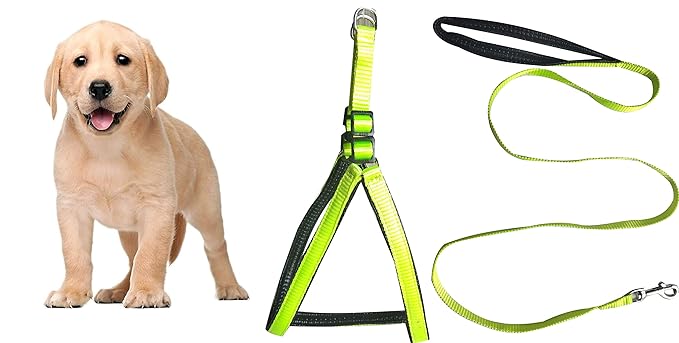 S.Blaze 1/2 Inch Green Designed Body Harness for Your Puppy & Small Dog Collar Belt, Puppy Collar & Leash