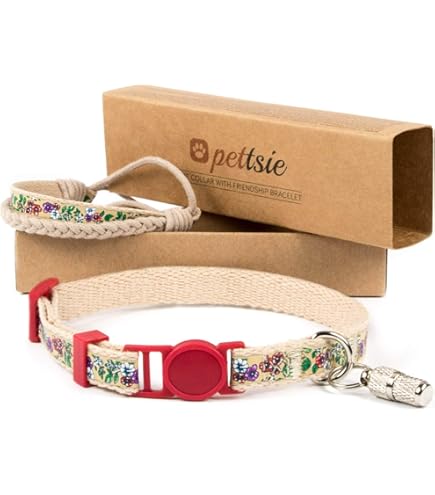 Collier Chat Pettsie Matching Dog Collar With Bow Tie Leash