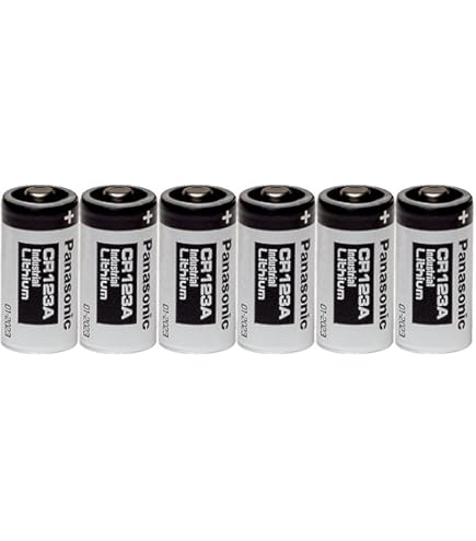 Amazon.com: Panasonic 13770 Industrial Lithium Battery, 3V