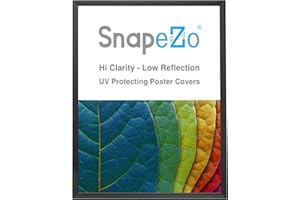 SnapeZo Poster Frame 36x48, Black, 1.25 Inch Aluminum Profile, Front-Loading Snap Frame, Wall Mounting, Professional Series