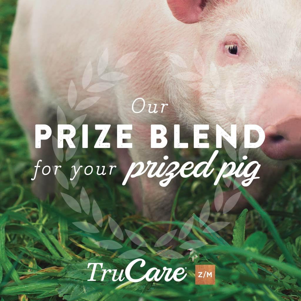 TruCare Z/M Top-Dress Trace Mineral Blend for Multi-Species: Pigs, Sheep, Llamas, Rabbits, Poultry (Zinc, Manganese) : Pet Supplies