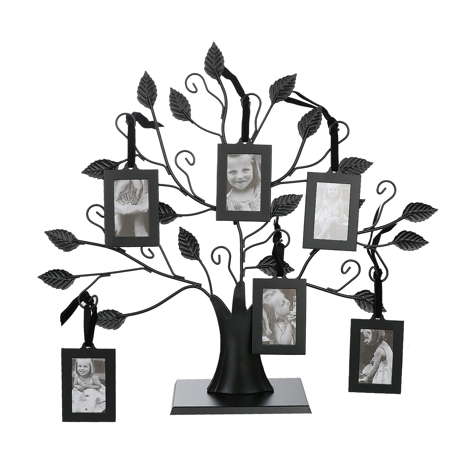 Photo Tree With Picture Frames - Sits Elegantly on a Tabletop (Medium - 6 Frames)