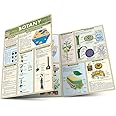 Botany (QuickStudy Academic)