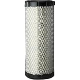Donaldson P821575 Air Filter, Primary (Pack of 2)