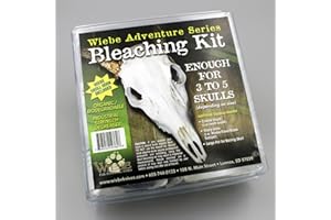 Wiebe Skull Bleaching Kit with Skull Wall Mount