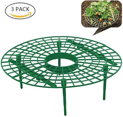JK Soporte para plantas de fresa, marco de protección para el ...