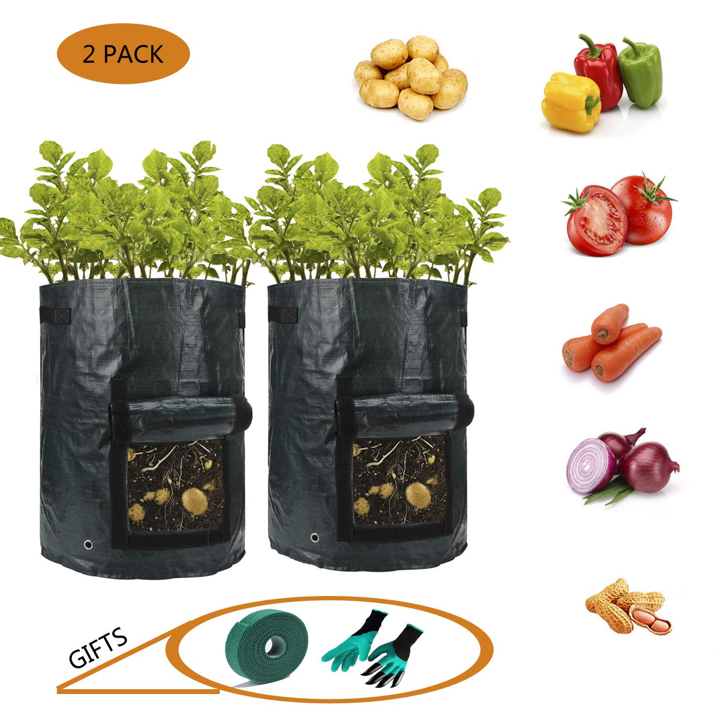 Best Tomatoe Garden Planters