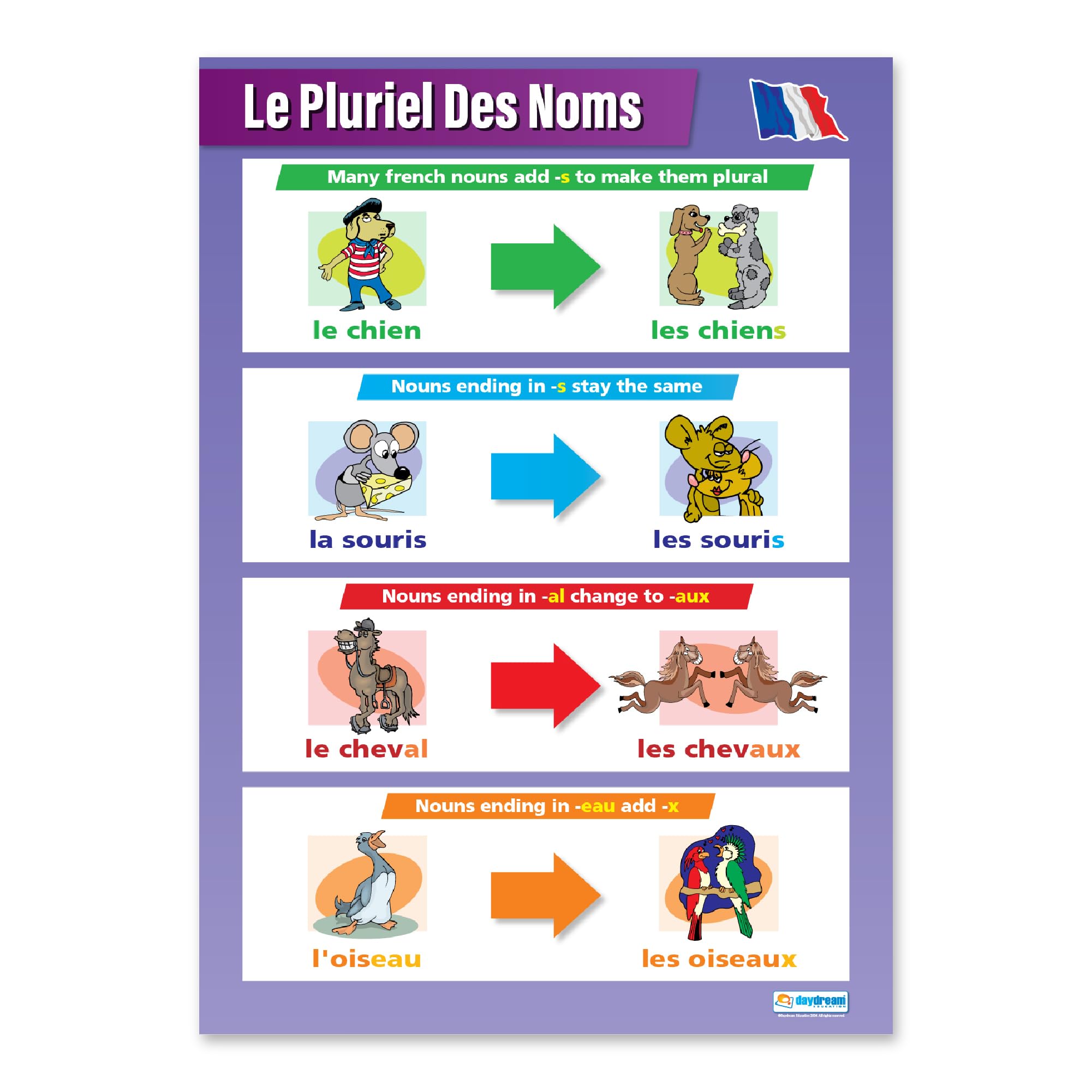Le Pluriel des Noms | Language Learning Posters | Gloss Paper measuring 850mm x 594mm (A1) | Second Language Charts for the Classroom | Education Charts by Daydream Education