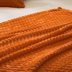 Vessia Flannel Fleece Throw Blanket for Kids and