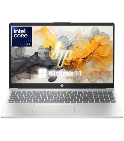 Amazon.com: HP ProBook 455 G10 15.6