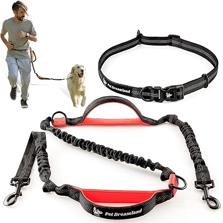 dog leash that attaches to waist