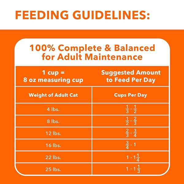 IAMS PROACTIVE HEALTH ADULT INDOOR WEIGHT CONTROL & HAIRBALL CARE DRY CAT FOOD WITH CHICKEN & TURKEY CAT KIBBLE, 7 LB. BAG