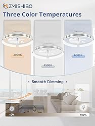 ZMISHIBO Low Profile Ceiling Fans with Lights and