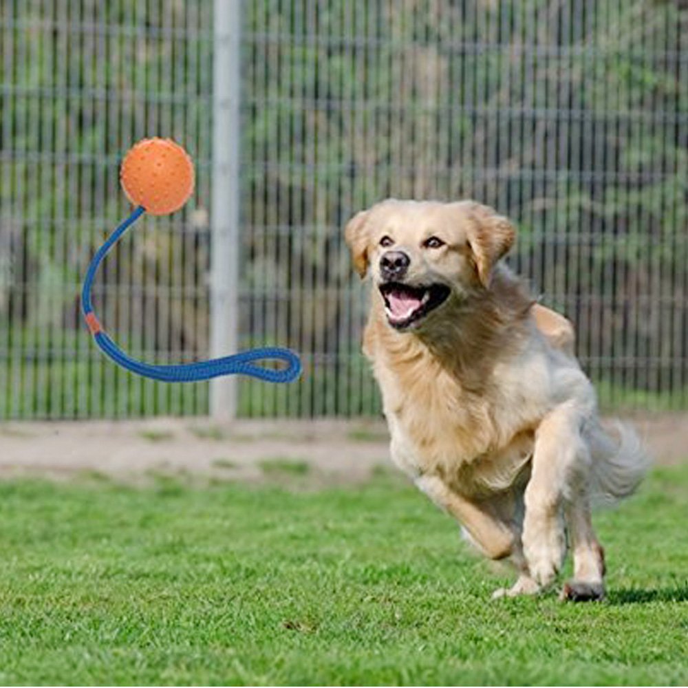 Dog Chew Toy Durable Non-Toxic Toy Balls for Small Dogs Soft Bouncy Rubber Dog Ball Launcher for aggressive chewers training Pet Dog Cat Exercise and Reward Toy