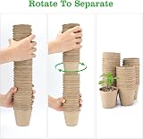 KINGLAKE Biodegradable 6cm Fibre Plant Pots 100Pcs with Labels view 4