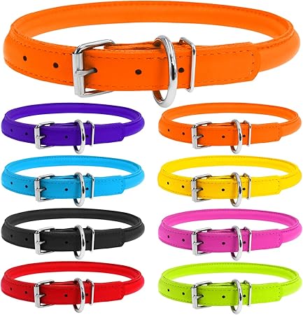 amazon rolled leather dog collar