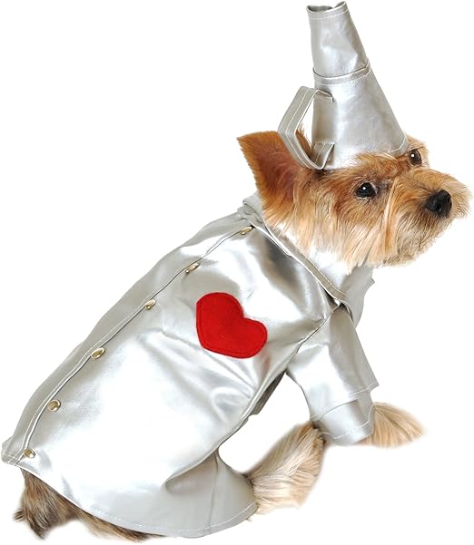 accesorios perros amazon