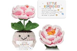 HEXMOZ Inspirational Gifts for Women - Motivational, Encouragement, Affirmation Ideas - Little Reminders You are Enough Handmade Emotional Support Peony Crochet with Positive Card - Office Desk Decor