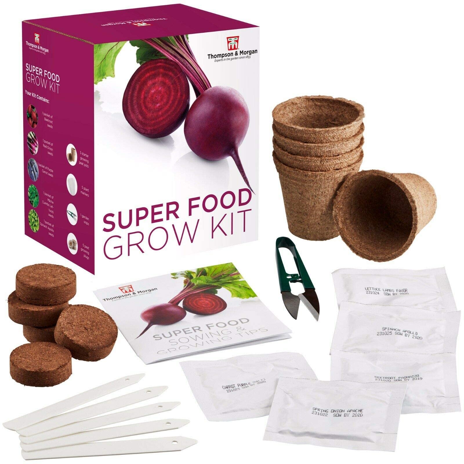 Super Food Seed Growing Kit Gift Box - 5 Specially Selected Salad to Grow Your Own; Lettuce, Spring Onion, Carrot, Beetroot & Spinach Seeds by Thompson & Morgan